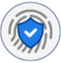 External Security Assessment